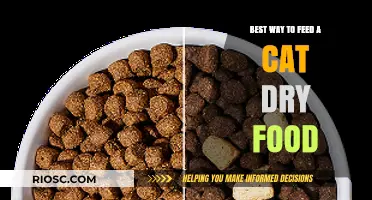 Optimal Dry Food Feeding Strategies for Feline Health and Happiness