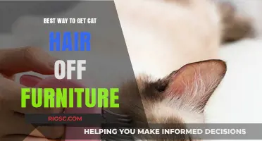 Effortless Cleaning: The Ultimate Guide to Removing Cat Hair from Furniture