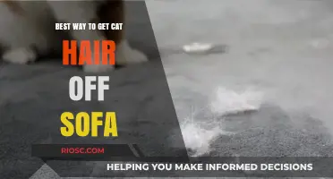 Effective and Easy Methods to Remove Cat Hair from Your Sofa