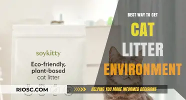 Eco-Friendly Cat Litter Solutions: The Best Way to Go Green with Your Feline Friend