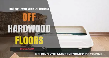 Effective Methods for Removing Dried Cat Diarrhea from Hardwood Floors