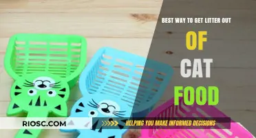Effective Strategies to Remove Litter from Your Cat’s Food Bowl