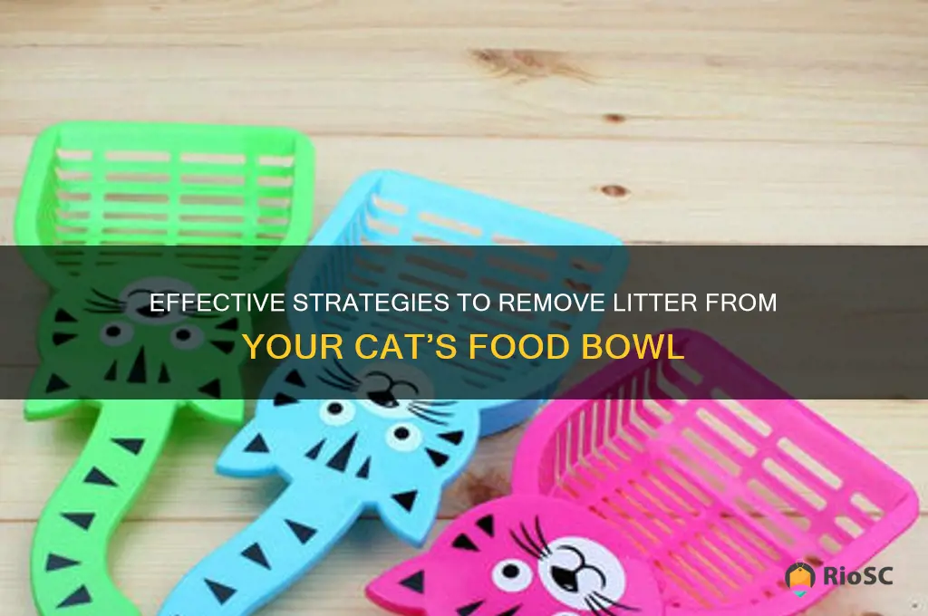 best way to get litter out of cat food