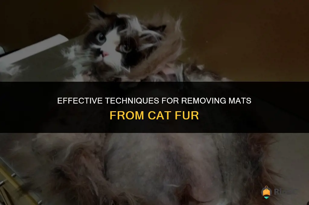 best way to get mats out of cat fur