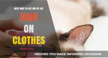 Feline Fuzz-Free Fashion: Effective Tips to Remove Cat Hair from Clothes