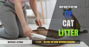 Effective and Eco-Friendly Methods to Eliminate Cat Litter Odor and Mess