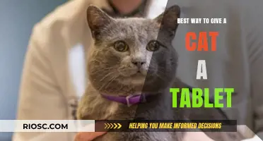Purr-fect Pill Time: A Gentle Guide to Administering Tablets to Your Feline Friend