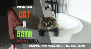 Purr-fectly Clean: The Gentle Guide to Bathing Your Feline Friend