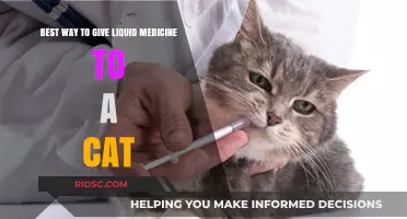 Purr-fectly Safe: A Guide to Administering Liquid Medicine to Your Feline Friend