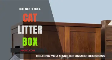 Creative Solutions: How to Discreetly Hide Your Cat’s Litter Box in Any Space