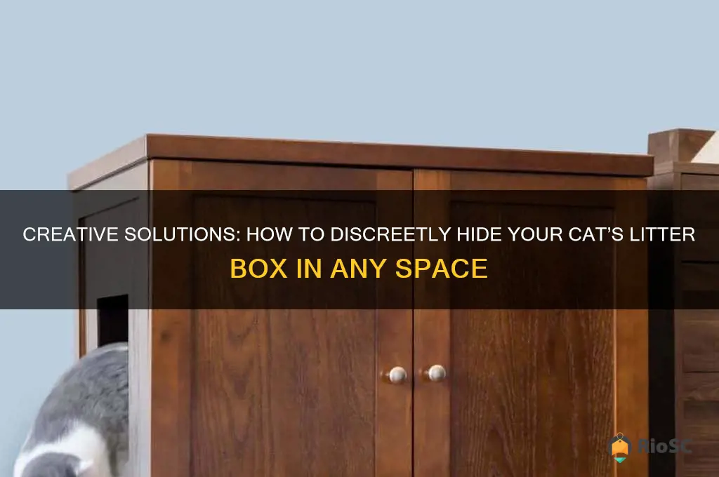 best way to hide a cat litter box