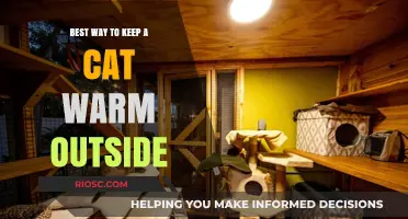 Cozy Outdoor Spaces: Ensuring Your Feline Friend Stays Warm and Safe