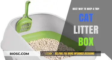 Effortless Tips for Maintaining a Fresh and Tidy Cat Litter Box