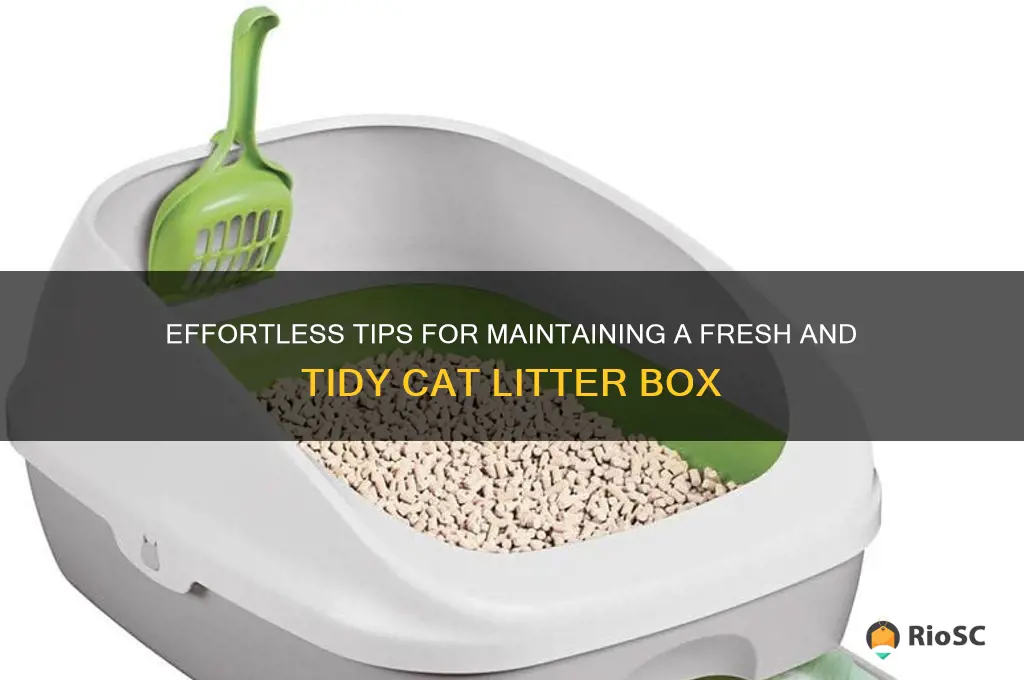 best way to keep a tidy cat litter box