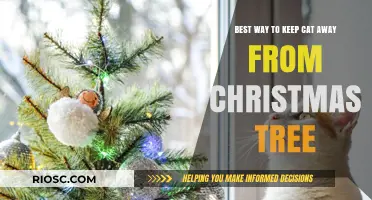 Festive Feline Deterrents: Safeguarding Your Christmas Tree from Curious Cats