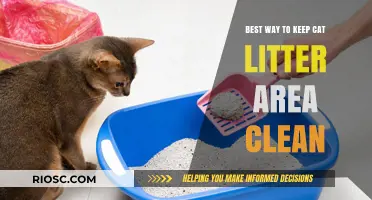 Effortless Tips for Maintaining a Spotless Cat Litter Area