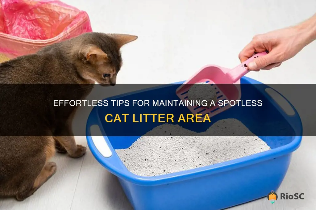 best way to keep cat litter area clean