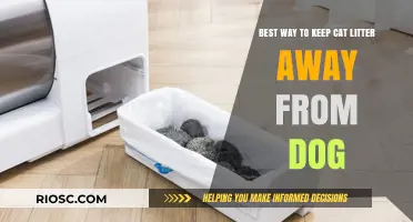 Effective Strategies to Keep Your Dog Away from the Cat Litter Box
