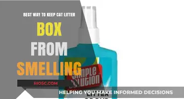 Effective Strategies to Eliminate Cat Litter Box Odors and Keep Your Home Fresh