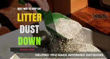 Effective Strategies to Minimize Cat Litter Dust and Maintain a Clean Environment