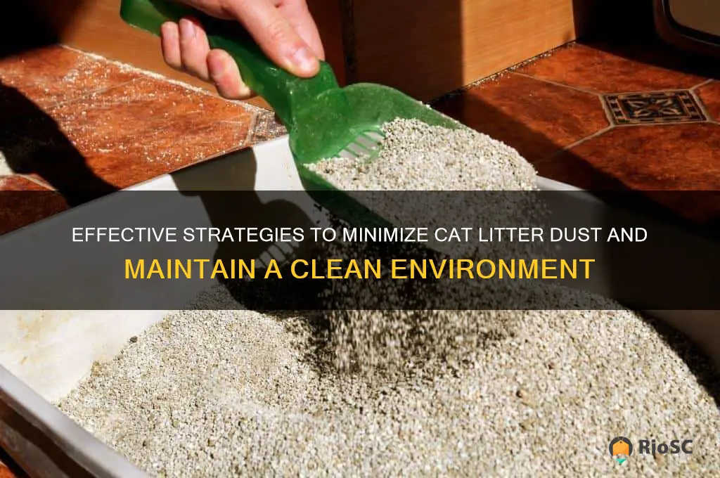 best way to keep cat litter dust down