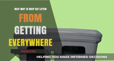 Effective Strategies to Contain Cat Litter Mess and Keep Your Home Clean