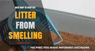 Fresh and Odor-Free: Proven Tips to Keep Your Cat Litter Smelling Clean