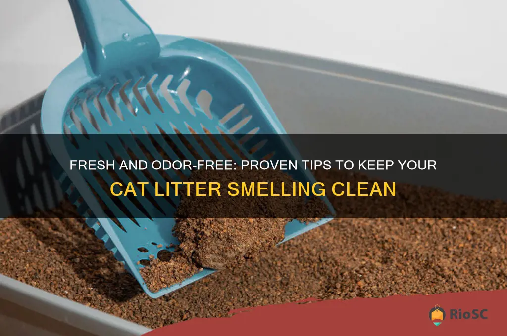 best way to keep cat litter from smelling