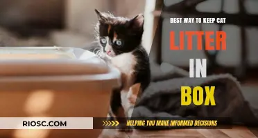 Effective Strategies to Keep Cat Litter in the Box and Reduce Mess