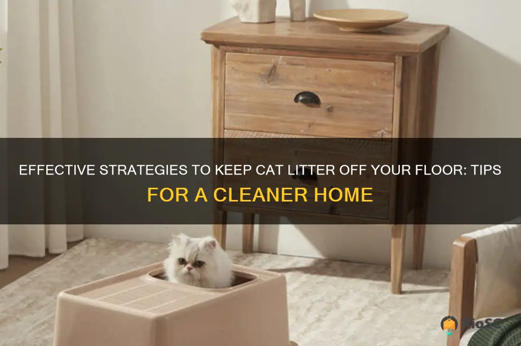 best way to keep cat litter off floor