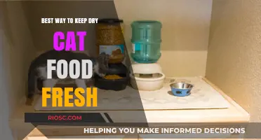 Optimal Storage Solutions: Keeping Your Feline's Kibble Fresh and Tasty
