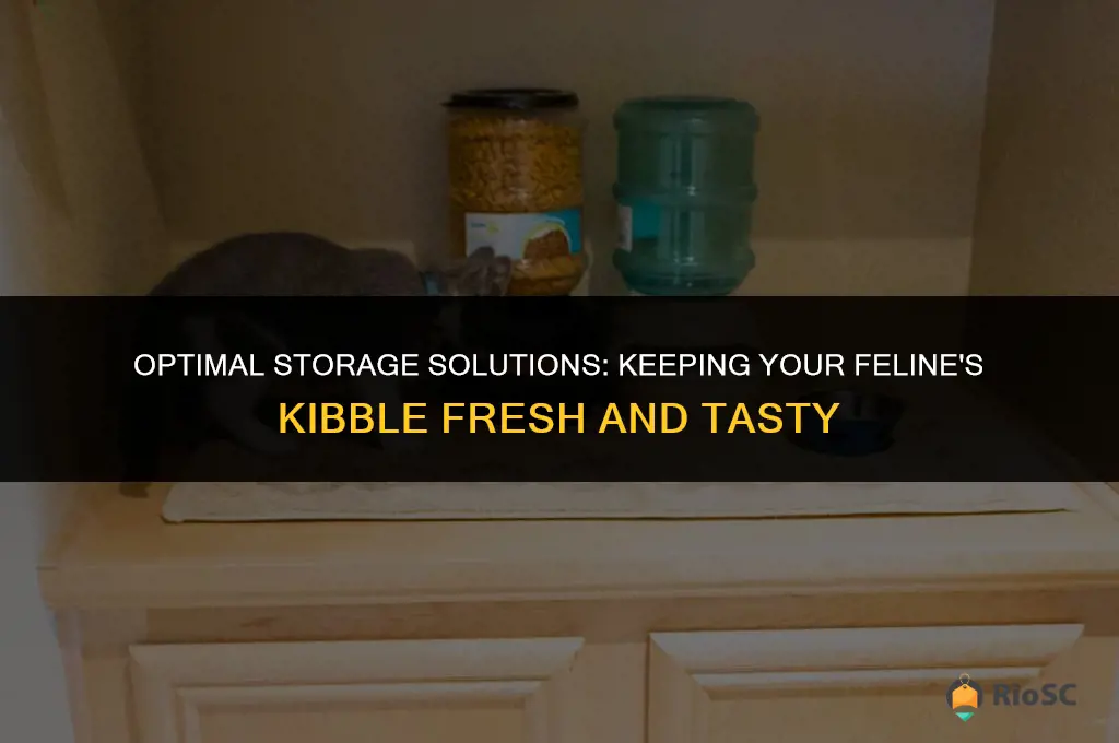 best way to keep dry cat food fresh