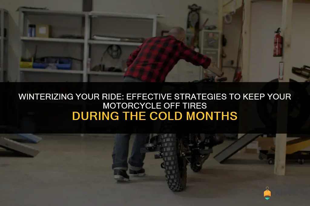 best way to keep motorcycle off tires in winter