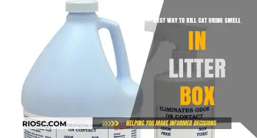Effective Solutions to Eliminate Cat Urine Odor in Your Litter Box