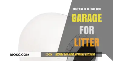 Safe and Stress-Free: The Best Way to Let Your Cat into the Garage for Litter