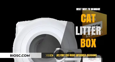 Effective Strategies for Managing Your Cat’s Litter Box: Tips for a Clean and Odor-Free Home