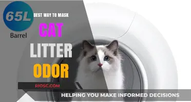 Effective Strategies to Eliminate Cat Litter Odor: A Comprehensive Guide