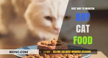 Revitalizing Dry Kibble: Expert Tips on Moistening Your Cat's Food for Optimal Health and Hydration