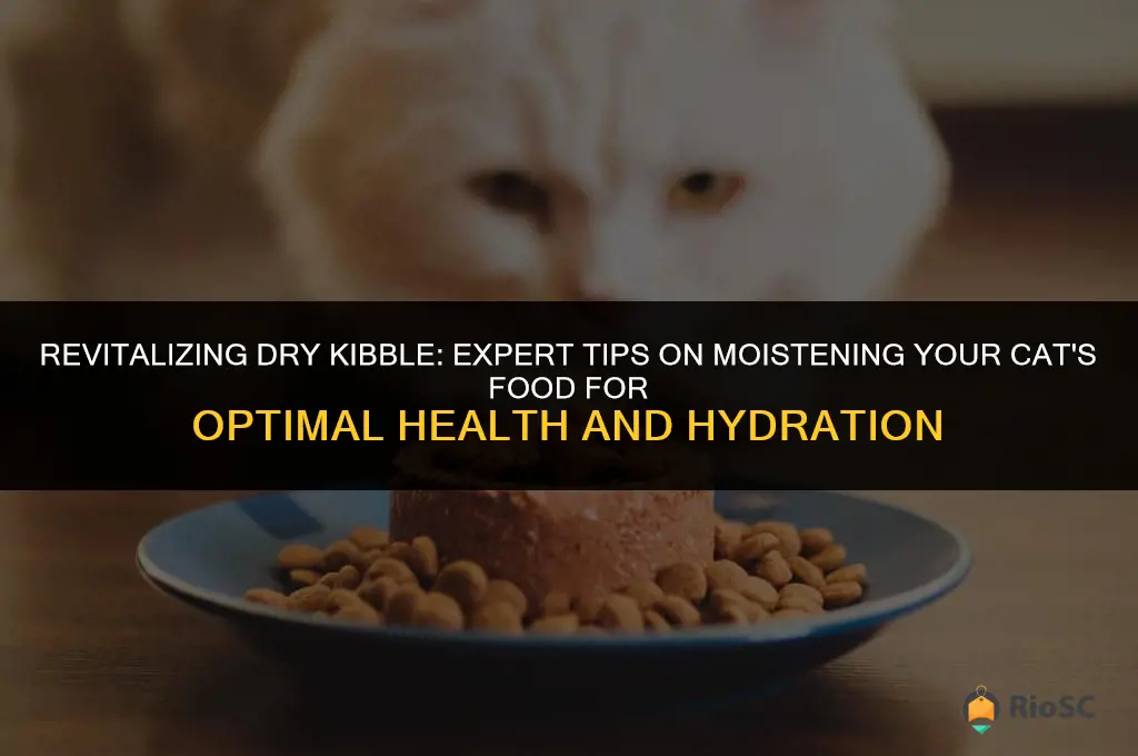 best way to moisten dry cat food