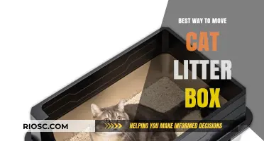 Effective Strategies for Relocating Your Cat’s Litter Box Without Stress