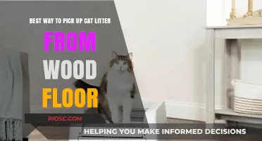 Effective Techniques for Removing Cat Litter from Wood Floors: A Step-by-Step Guide