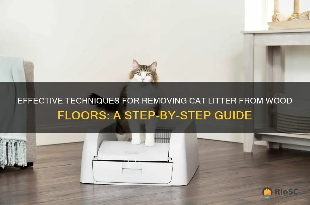 best way to pick up cat litter from wood floor