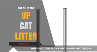 Efficient and Mess-Free: Mastering the Art of Picking Up Cat Litter