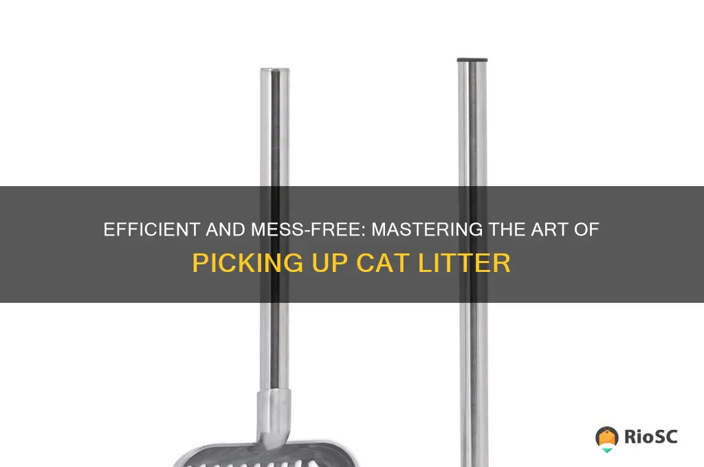 best way to pick up cat litter