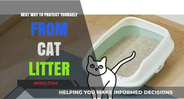 Effective Strategies to Safeguard Yourself from Cat Litter Hazards