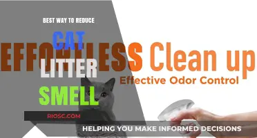 Effective Strategies to Eliminate Cat Litter Smell and Keep Your Home Fresh