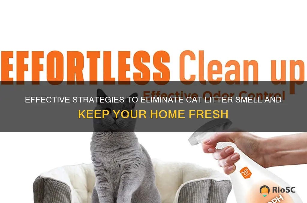 best way to reduce cat litter smell