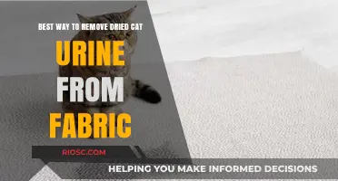 Effective Methods for Removing Dried Cat Urine Stains from Fabric