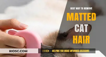 Effortless Grooming: The Ultimate Guide to Removing Matted Cat Hair
