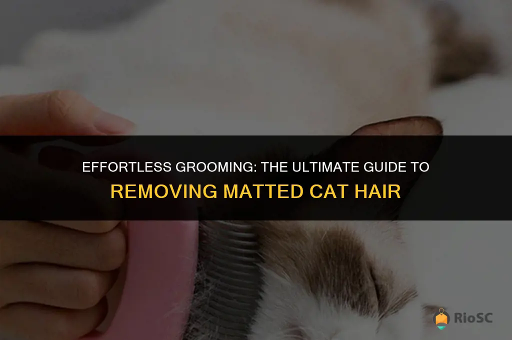 best way to remove matted cat hair